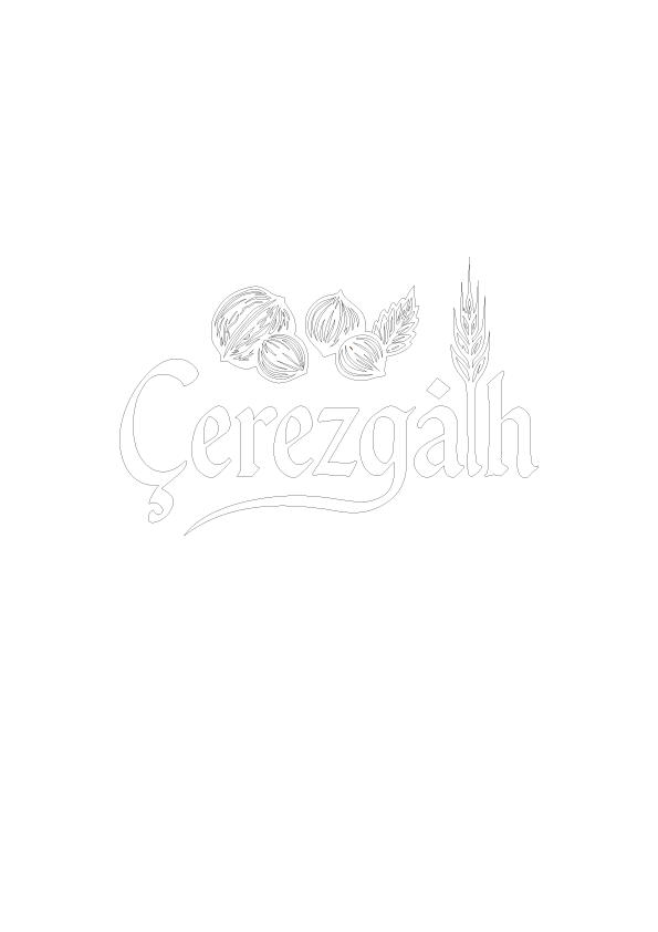 logo-light